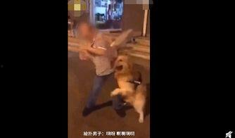 视频拍摄发爆料怎么办,如何正确应对与处理 第2张 视频拍摄发爆料怎么办,如何正确应对与处理 第2张